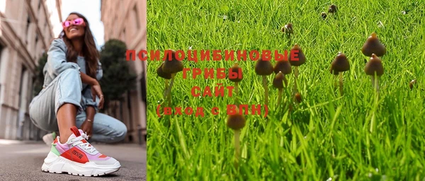 ешки Нефтегорск