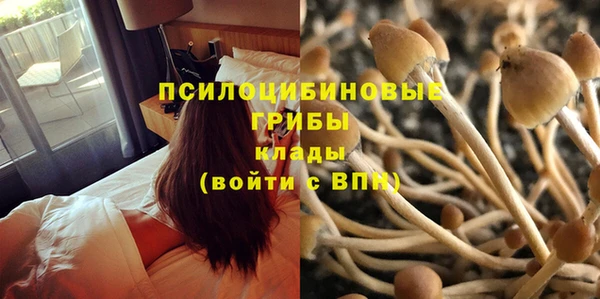 крисы Нефтекумск