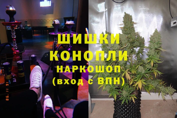 крисы Нефтекумск
